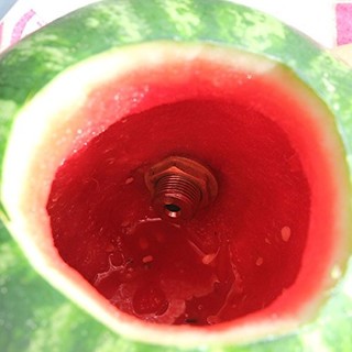 KEGWORKS Deluxe Watermelon Tap Kit 西瓜取汁器