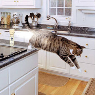 PetSafe Ssscat Cat Spray Control System 训练宠物喷雾器